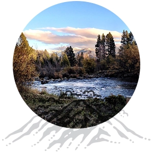 rushing river surrounded by trees